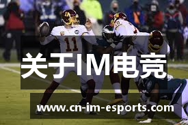 关于IM电竞